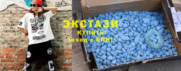 ECSTASY Бородино