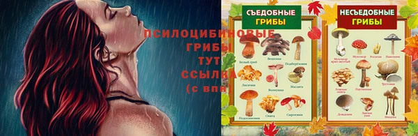 сатива Верхнеуральск