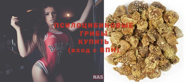 сатива Верхнеуральск